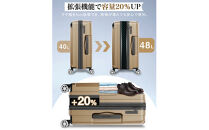 NEWTRIP0201p　スーツケース　シャンパンゴールド　Sサイズ　