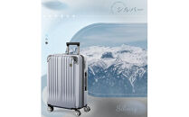 NEWTRIP0201p　スーツケース　シルバー　Mサイズ　