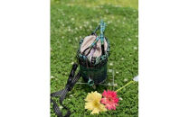 【ハンドメイド】君島アトリエ　紅籐かごバッグ（染紅籐コレクション&nbsp;彩のかご&nbsp;-みどり波）