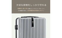 スーツケース　L　ゴールド　