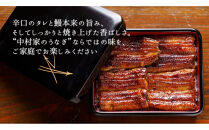 【中村家】浜松産うなぎ　かば焼　6枚入【11100-0152】