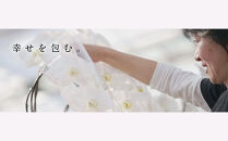 白大輪胡蝶蘭　2本立ち22輪程度（つぼみ含む）　