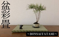 盆彩畳～BONSAITATAMI～　【11100-0032】