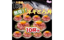 【定期便】【市場食堂　花いち】ネギトロ　250g×4PC（1kg）×3ヶ月【11100-1901】
