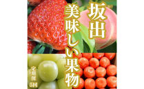 【全5回】坂出の美味しい果物定期便　四季折々の果物をお届けします