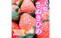 【全5回】坂出の美味しい果物定期便　四季折々の果物をお届けします