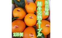 【全5回】坂出の美味しい果物定期便　四季折々の果物をお届けします