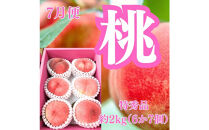 【全5回】坂出の美味しい果物定期便　四季折々の果物をお届けします