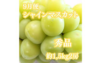 【全5回】坂出の美味しい果物定期便　四季折々の果物をお届けします