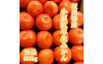【全5回】坂出の美味しい果物定期便　四季折々の果物をお届けします