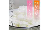 【定期便6回】令和7年産&nbsp;新潟県&nbsp;魚沼産&nbsp;無洗米&nbsp;コシヒカリ2kg&nbsp;精米&nbsp;一等米&nbsp;&nbsp;天糧