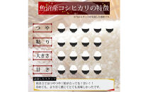 【定期便6回】令和7年産&nbsp;新潟県&nbsp;魚沼産&nbsp;無洗米&nbsp;コシヒカリ2kg&nbsp;精米&nbsp;一等米&nbsp;&nbsp;天糧