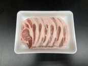 豚肉 セット 1.1kg ( ロース約100g × 6枚 & バラスライス約500g ) 大町銀嶺豚