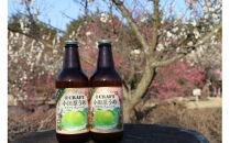 小田原うめクラフトチューハイ　48本セット