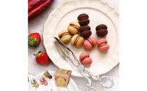 ＜シーキューブ＞サクッチ・ホロッチ　12個入　CSC-12RC