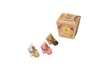 ＜シーキューブ＞サクッチ・ホロッチ　12個入　CSC-12RC