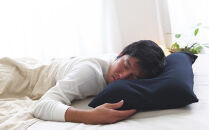 AA001　男の夢枕 (超極小ビーズ素材、消臭枕カバー付き)【104-000001-19】