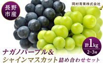 金オ岡村青果株式会社　長野市産&nbsp;ナガノパープル＆シャインマスカット詰合せ１kg【2026年9月以降出荷分】フルーツ&nbsp;ぶどう&nbsp;葡萄&nbsp;果物&nbsp;人気&nbsp;種なし&nbsp;新鮮&nbsp;期間限定&nbsp;令和8年&nbsp;2026年発送&nbsp;|&nbsp;&nbsp;シャインマスカット&nbsp;ぶどう&nbsp;フルーツ&nbsp;果物&nbsp;人気&nbsp;おすすめ&nbsp;ギフト&nbsp;プレゼント&nbsp;送料無料&nbsp;長野県&nbsp;長野市&nbsp;信州&nbsp;信濃&nbsp;ふるさと納税