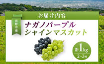 金オ岡村青果株式会社　長野市産&nbsp;ナガノパープル＆シャインマスカット詰合せ１kg【2026年9月以降出荷分】フルーツ&nbsp;ぶどう&nbsp;葡萄&nbsp;果物&nbsp;人気&nbsp;種なし&nbsp;新鮮&nbsp;期間限定&nbsp;令和8年&nbsp;2026年発送&nbsp;|&nbsp;&nbsp;シャインマスカット&nbsp;ぶどう&nbsp;フルーツ&nbsp;果物&nbsp;人気&nbsp;おすすめ&nbsp;ギフト&nbsp;プレゼント&nbsp;送料無料&nbsp;長野県&nbsp;長野市&nbsp;信州&nbsp;信濃&nbsp;ふるさと納税