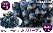 金オ岡村青果株式会社　長野市産&nbsp;ナガノパープル1kg【2026年9月以降出荷分】果物&nbsp;くだもの&nbsp;フルーツ&nbsp;デザート&nbsp;種無し&nbsp;大粒&nbsp;旬&nbsp;|&nbsp;&nbsp;ぶどう&nbsp;フルーツ&nbsp;果物&nbsp;人気&nbsp;おすすめ&nbsp;ギフト&nbsp;プレゼント&nbsp;送料無料&nbsp;長野県&nbsp;長野市&nbsp;信州&nbsp;信濃&nbsp;ふるさと納税