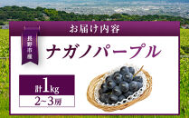 金オ岡村青果株式会社　長野市産&nbsp;ナガノパープル1kg【2026年9月以降出荷分】果物&nbsp;くだもの&nbsp;フルーツ&nbsp;デザート&nbsp;種無し&nbsp;大粒&nbsp;旬&nbsp;|&nbsp;&nbsp;ぶどう&nbsp;フルーツ&nbsp;果物&nbsp;人気&nbsp;おすすめ&nbsp;ギフト&nbsp;プレゼント&nbsp;送料無料&nbsp;長野県&nbsp;長野市&nbsp;信州&nbsp;信濃&nbsp;ふるさと納税