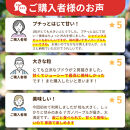 長野市産&nbsp;ナガノパープル2kg【2026年9月以降出荷分】果物&nbsp;くだもの&nbsp;フルーツ&nbsp;デザート&nbsp;種無し&nbsp;大粒&nbsp;旬&nbsp;長野市