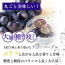 長野市産&nbsp;ナガノパープル2kg【2026年9月以降出荷分】果物&nbsp;くだもの&nbsp;フルーツ&nbsp;デザート&nbsp;種無し&nbsp;大粒&nbsp;旬&nbsp;長野市
