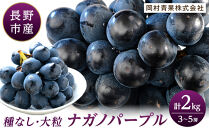 金オ岡村青果株式会社　長野市産&nbsp;ナガノパープル2kg【2026年9月以降出荷分】果物&nbsp;くだもの&nbsp;フルーツ&nbsp;デザート&nbsp;種無し&nbsp;大粒&nbsp;旬&nbsp;&nbsp;|&nbsp;&nbsp;ぶどう&nbsp;フルーツ&nbsp;果物&nbsp;人気&nbsp;おすすめ&nbsp;ギフト&nbsp;プレゼント&nbsp;送料無料&nbsp;長野県&nbsp;長野市&nbsp;信州&nbsp;信濃&nbsp;ふるさと納税
