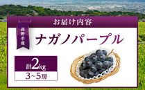金オ岡村青果株式会社　長野市産&nbsp;ナガノパープル2kg【2026年9月以降出荷分】果物&nbsp;くだもの&nbsp;フルーツ&nbsp;デザート&nbsp;種無し&nbsp;大粒&nbsp;旬&nbsp;&nbsp;|&nbsp;&nbsp;ぶどう&nbsp;フルーツ&nbsp;果物&nbsp;人気&nbsp;おすすめ&nbsp;ギフト&nbsp;プレゼント&nbsp;送料無料&nbsp;長野県&nbsp;長野市&nbsp;信州&nbsp;信濃&nbsp;ふるさと納税