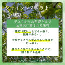 長野県&nbsp;長野市産&nbsp;シャインマスカット1kg(1～3房)【2026年9月下旬頃～発送予定】（矢島農園）