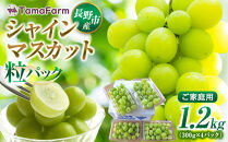 タマファーム　長野市産&nbsp;シャインマスカット&nbsp;粒パック&nbsp;ご家庭用&nbsp;1.2kg（300g×4パック）&nbsp;|&nbsp;&nbsp;シャインマスカット&nbsp;ぶどう&nbsp;葡萄&nbsp;フルーツ&nbsp;果物&nbsp;家庭用&nbsp;人気&nbsp;おすすめ&nbsp;タマファーム&nbsp;直送&nbsp;&nbsp;&nbsp;送料無料&nbsp;長野県&nbsp;長野市&nbsp;信州&nbsp;信濃&nbsp;ふるさと納税