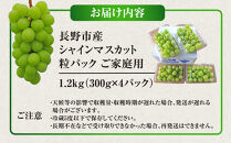 タマファーム　長野市産&nbsp;シャインマスカット&nbsp;粒パック&nbsp;ご家庭用&nbsp;1.2kg（300g×4パック）&nbsp;|&nbsp;&nbsp;シャインマスカット&nbsp;ぶどう&nbsp;葡萄&nbsp;フルーツ&nbsp;果物&nbsp;家庭用&nbsp;人気&nbsp;おすすめ&nbsp;タマファーム&nbsp;直送&nbsp;&nbsp;&nbsp;送料無料&nbsp;長野県&nbsp;長野市&nbsp;信州&nbsp;信濃&nbsp;ふるさと納税