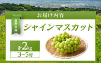 金オ岡村青果株式会社　長野市産&nbsp;シャインマスカット2kg【2026年9月以降出荷分】フルーツ&nbsp;ぶどう&nbsp;葡萄&nbsp;果物&nbsp;人気&nbsp;種なし&nbsp;数量限定&nbsp;令和8年&nbsp;産地&nbsp;長野&nbsp;|&nbsp;&nbsp;シャインマスカット&nbsp;ぶどう&nbsp;フルーツ&nbsp;果物&nbsp;人気&nbsp;おすすめ&nbsp;ギフト&nbsp;プレゼント&nbsp;送料無料&nbsp;長野県&nbsp;長野市&nbsp;信州&nbsp;信濃&nbsp;ふるさと納税