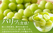 金オ岡村青果株式会社　長野市産&nbsp;シャインマスカット1kg【2026年9月以降出荷分】フルーツ&nbsp;ぶどう&nbsp;葡萄&nbsp;果物&nbsp;人気&nbsp;種なし&nbsp;数量限定&nbsp;令和8年&nbsp;産地&nbsp;長野&nbsp;|&nbsp;&nbsp;シャインマスカット&nbsp;ぶどう&nbsp;フルーツ&nbsp;果物&nbsp;人気&nbsp;おすすめ&nbsp;ギフト&nbsp;プレゼント&nbsp;送料無料&nbsp;長野県&nbsp;長野市&nbsp;信州&nbsp;信濃&nbsp;ふるさと納税