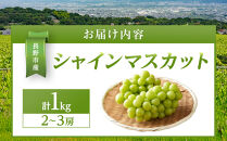 金オ岡村青果株式会社　長野市産&nbsp;シャインマスカット1kg【2026年9月以降出荷分】フルーツ&nbsp;ぶどう&nbsp;葡萄&nbsp;果物&nbsp;人気&nbsp;種なし&nbsp;数量限定&nbsp;令和8年&nbsp;産地&nbsp;長野&nbsp;|&nbsp;&nbsp;シャインマスカット&nbsp;ぶどう&nbsp;フルーツ&nbsp;果物&nbsp;人気&nbsp;おすすめ&nbsp;ギフト&nbsp;プレゼント&nbsp;送料無料&nbsp;長野県&nbsp;長野市&nbsp;信州&nbsp;信濃&nbsp;ふるさと納税