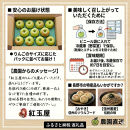 際立つ酸味！&nbsp;長野市産&nbsp;グラニースミス&nbsp;約4.5kg&nbsp;（お菓子作り・酸っぱいりんご好き専用）&nbsp;希少品種&nbsp;林檎&nbsp;クッキングアップル