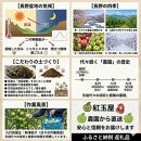 際立つ酸味！&nbsp;長野市産&nbsp;グラニースミス&nbsp;約4.5kg&nbsp;（お菓子作り・酸っぱいりんご好き専用）&nbsp;希少品種&nbsp;林檎&nbsp;クッキングアップル