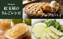 紅玉屋　際立つ酸味！&nbsp;長野市産&nbsp;グラニースミス&nbsp;約4.5kg&nbsp;（お菓子作り・酸っぱいりんご好き専用）&nbsp;希少品種&nbsp;林檎&nbsp;クッキングアップル&nbsp;|&nbsp;&nbsp;りんご&nbsp;林檎&nbsp;&nbsp;フルーツ&nbsp;果物&nbsp;&nbsp;青りんご&nbsp;お菓子作り&nbsp;ギフト&nbsp;人気&nbsp;おすすめ&nbsp;送料無料&nbsp;長野県&nbsp;長野市&nbsp;信州&nbsp;信濃&nbsp;ふるさと納税