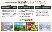 紅玉屋　際立つ酸味！&nbsp;長野市産&nbsp;グラニースミス&nbsp;約4.5kg&nbsp;（お菓子作り・酸っぱいりんご好き専用）&nbsp;希少品種&nbsp;林檎&nbsp;クッキングアップル&nbsp;|&nbsp;&nbsp;りんご&nbsp;林檎&nbsp;&nbsp;フルーツ&nbsp;果物&nbsp;&nbsp;青りんご&nbsp;お菓子作り&nbsp;ギフト&nbsp;人気&nbsp;おすすめ&nbsp;送料無料&nbsp;長野県&nbsp;長野市&nbsp;信州&nbsp;信濃&nbsp;ふるさと納税