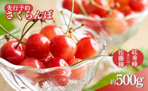 長野県&nbsp;長野市産さくらんぼ&nbsp;500g【2026年6月下旬頃発送予定】（矢島農園）