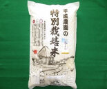 長野市産&nbsp;風さやか&nbsp;10kg&nbsp;特別栽培米（平成農園）