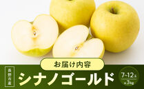長野市産&nbsp;シナノゴールド&nbsp;3kg(7玉～12玉入り)&nbsp;りんご&nbsp;信濃の味【2026年10月下旬頃より発送予定】&nbsp;|&nbsp;りんご&nbsp;&nbsp;シナノゴールド&nbsp;約3kg&nbsp;人気&nbsp;おすすめ&nbsp;フルーツ&nbsp;果物&nbsp;リンゴ&nbsp;林檎&nbsp;長野県&nbsp;長野市&nbsp;信州&nbsp;信濃&nbsp;ふるさと納税