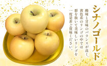 長野市産&nbsp;シナノゴールド&nbsp;3kg(7玉～12玉入り)&nbsp;りんご&nbsp;信濃の味【2026年10月下旬頃より発送予定】&nbsp;|&nbsp;りんご&nbsp;&nbsp;シナノゴールド&nbsp;約3kg&nbsp;人気&nbsp;おすすめ&nbsp;フルーツ&nbsp;果物&nbsp;リンゴ&nbsp;林檎&nbsp;長野県&nbsp;長野市&nbsp;信州&nbsp;信濃&nbsp;ふるさと納税