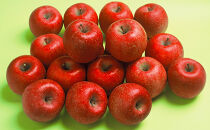 長野市産&nbsp;サンふじ&nbsp;りんご&nbsp;家庭用&nbsp;訳あり&nbsp;5kg&nbsp;【2026年11月中旬頃より発送予定】