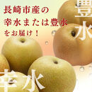 長野市産&nbsp;梨&nbsp;3kg（6～12玉）【2026年9月上旬以降発送予定】(さらしな青果)&nbsp;|&nbsp;梨&nbsp;人気&nbsp;おすすめ&nbsp;フルーツ&nbsp;果物&nbsp;なし&nbsp;ナシ&nbsp;和梨&nbsp;長野県&nbsp;長野市&nbsp;信州&nbsp;信濃&nbsp;ふるさと納税