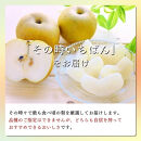長野市産&nbsp;梨&nbsp;3kg（6～12玉）【2026年9月上旬以降発送予定】(さらしな青果)&nbsp;|&nbsp;梨&nbsp;人気&nbsp;おすすめ&nbsp;フルーツ&nbsp;果物&nbsp;なし&nbsp;ナシ&nbsp;和梨&nbsp;長野県&nbsp;長野市&nbsp;信州&nbsp;信濃&nbsp;ふるさと納税