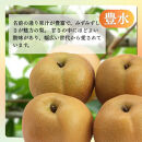 長野市産&nbsp;梨&nbsp;3kg（6～12玉）【2026年9月上旬以降発送予定】(さらしな青果)&nbsp;|&nbsp;梨&nbsp;人気&nbsp;おすすめ&nbsp;フルーツ&nbsp;果物&nbsp;なし&nbsp;ナシ&nbsp;和梨&nbsp;長野県&nbsp;長野市&nbsp;信州&nbsp;信濃&nbsp;ふるさと納税