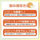 長野市産&nbsp;梨&nbsp;3kg（6～12玉）【2026年9月上旬以降発送予定】(さらしな青果)&nbsp;|&nbsp;梨&nbsp;人気&nbsp;おすすめ&nbsp;フルーツ&nbsp;果物&nbsp;なし&nbsp;ナシ&nbsp;和梨&nbsp;長野県&nbsp;長野市&nbsp;信州&nbsp;信濃&nbsp;ふるさと納税