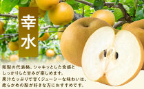 長野市産&nbsp;梨&nbsp;3kg（6～12玉）【2026年9月上旬以降発送予定】(さらしな青果)&nbsp;|&nbsp;梨&nbsp;人気&nbsp;おすすめ&nbsp;フルーツ&nbsp;果物&nbsp;なし&nbsp;ナシ&nbsp;和梨&nbsp;長野県&nbsp;長野市&nbsp;信州&nbsp;信濃&nbsp;ふるさと納税