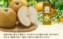 長野市産&nbsp;梨&nbsp;3kg（6～12玉）【2026年9月上旬以降発送予定】(さらしな青果)&nbsp;|&nbsp;梨&nbsp;人気&nbsp;おすすめ&nbsp;フルーツ&nbsp;果物&nbsp;なし&nbsp;ナシ&nbsp;和梨&nbsp;長野県&nbsp;長野市&nbsp;信州&nbsp;信濃&nbsp;ふるさと納税